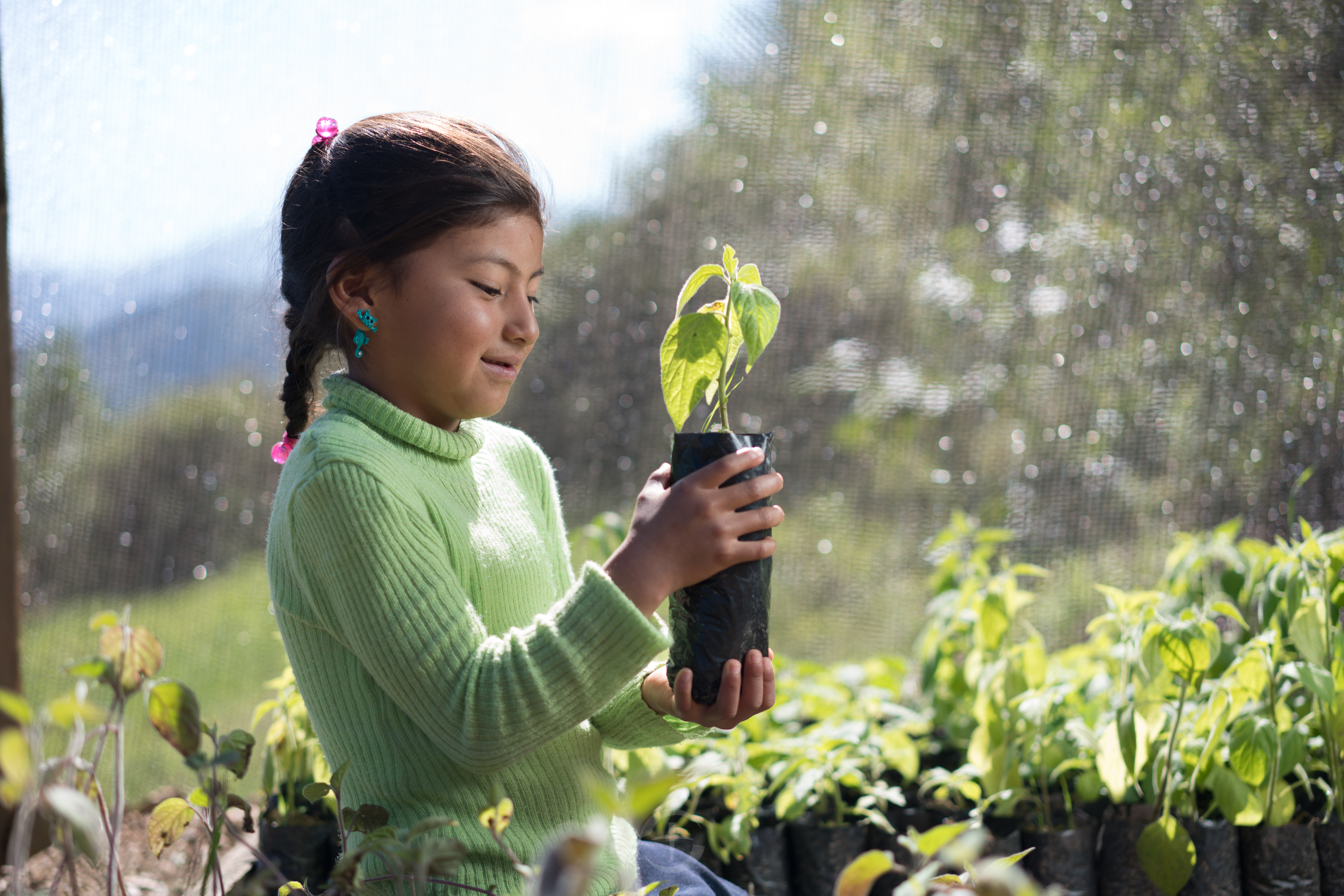 girl with seedling