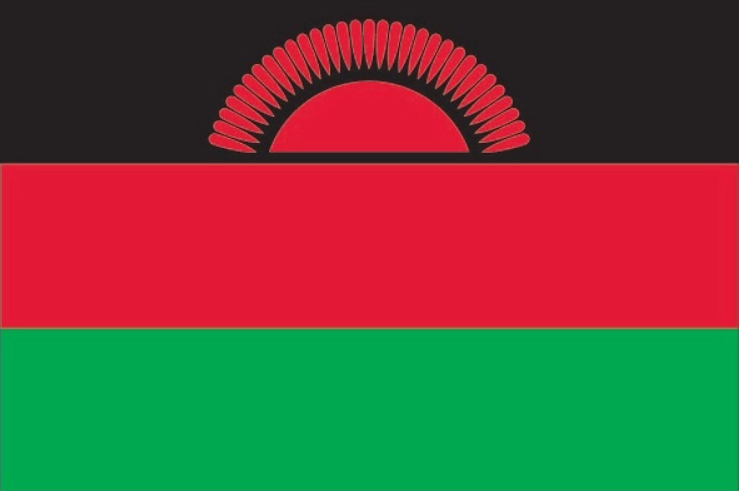 A flag with a red sun and green stripes
Description automatically generated