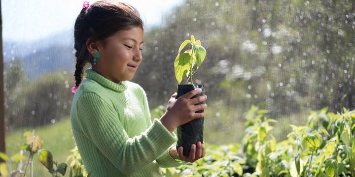 girl with seedling