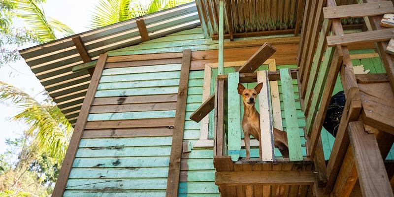 Most tourists never witness the modest homes of inland communities like Alden Webster, where much of the local population lives. 