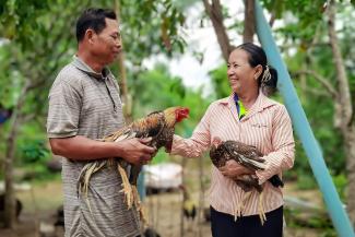 In the last year alone, Samaritan’s Purse has equipped over 300 families with chicks and training.