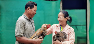 Livelihoods Projects