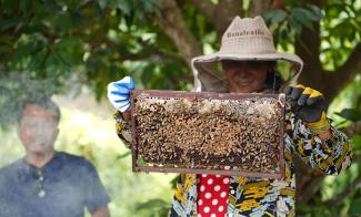 Beehives Bring Big Benefits