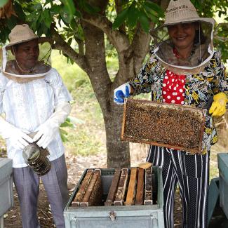 “Giving me bees is like giving me a regular salary,” Siangley said.