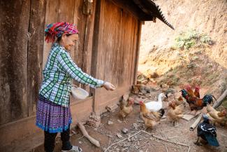 LIVELIHOOD PROJECTS such as chicken raising offer families a way out of poverty.