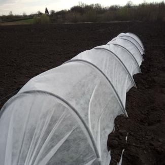 With a little help from a hotbed, young plants get a good start even while it is cool in Ukraine.