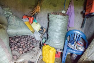 We are teaching families how to grow crops, such as potatoes.