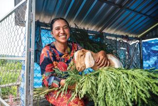 We thank God for using our livestock and agriculture projects to bring hope to people in need.