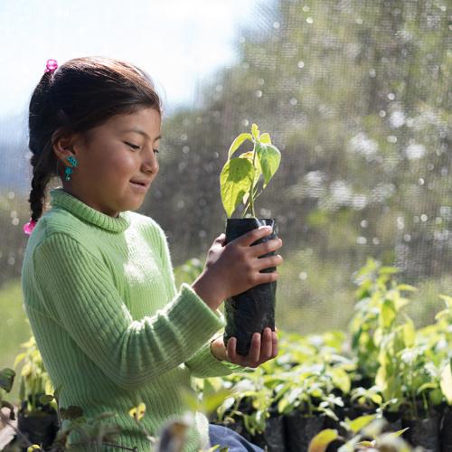 girl with seedling plant